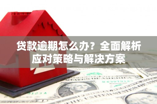 崇明贷款逾期怎么办？全面解析应对策略与解决方案