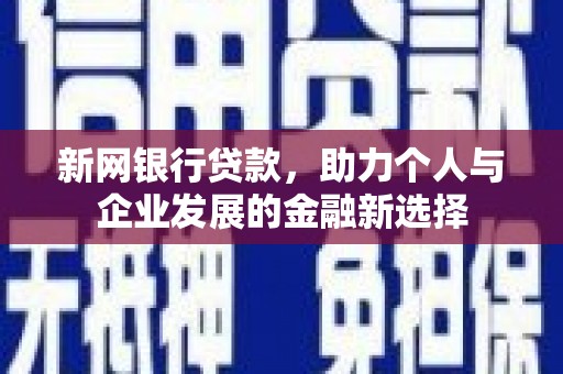 南华新网银行贷款，助力个人与企业发展的金融新选择