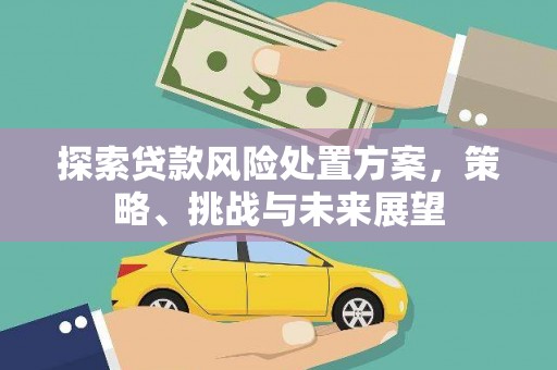 徐州探索贷款风险处置方案，策略、挑战与未来展望