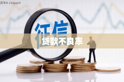 松北贷款不良率