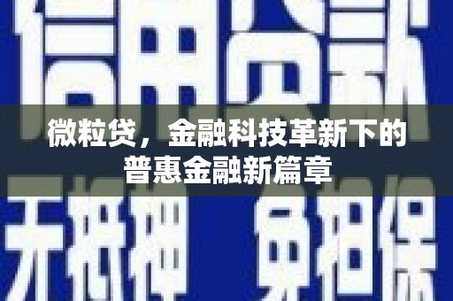 龙沙微粒贷，金融科技革新下的普惠金融新篇章