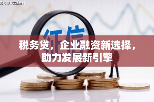 徐汇税务贷，企业融资新选择，助力发展新引擎