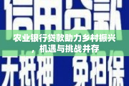宁国农业银行贷款助力乡村振兴，机遇与挑战并存