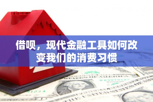 雁塔借呗，现代金融工具如何改变我们的消费习惯