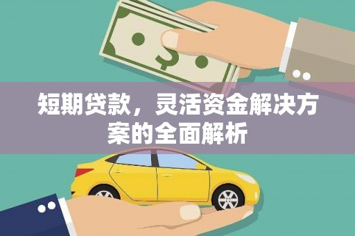 普兰短期贷款，灵活资金解决方案的全面解析