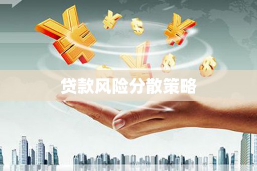 保税区贷款风险分散策略