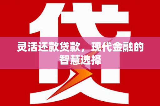 泉州灵活还款贷款，现代金融的智慧选择
