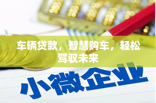 沙溪车辆贷款，智慧购车，轻松驾驭未来