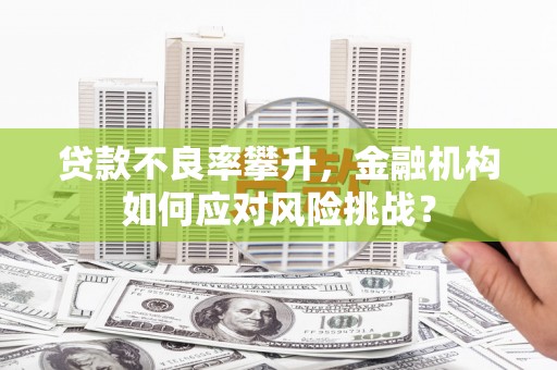 呼玛贷款不良率攀升，金融机构如何应对风险挑战？