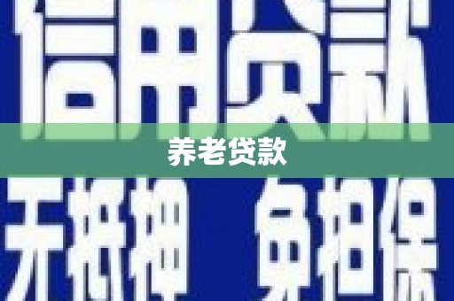 汝南养老贷款