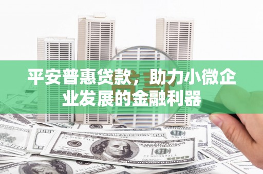 射阳平安普惠贷款，助力小微企业发展的金融利器
