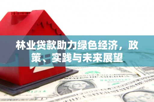 宣州林业贷款助力绿色经济，政策、实践与未来展望