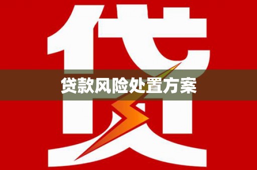 嵊泗贷款风险处置方案