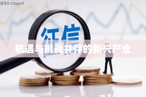 安次机遇与挑战并存的新兴产业