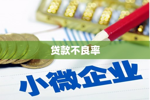礼县贷款不良率