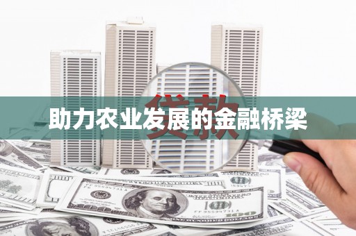 儋州助力农业发展的金融桥梁