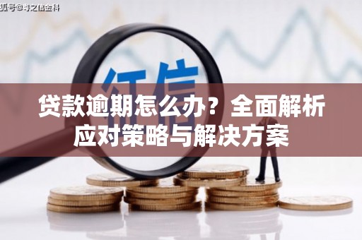 井陉矿区贷款逾期怎么办？全面解析应对策略与解决方案