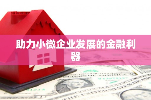 桐城助力小微企业发展的金融利器