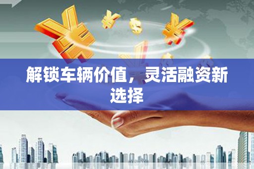 陆良解锁车辆价值，灵活融资新选择