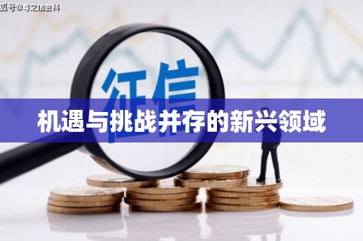 狮潭机遇与挑战并存的新兴领域