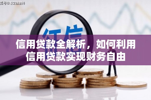沈河信用贷款全解析，如何利用信用贷款实现财务自由