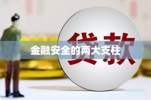 舞钢金融安全的两大支柱