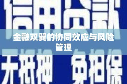 阜城金融双翼的协同效应与风险管理
