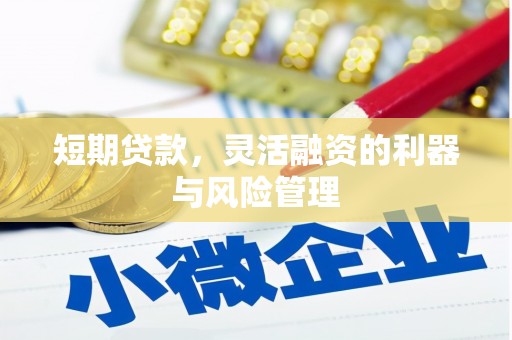 莎车短期贷款，灵活融资的利器与风险管理