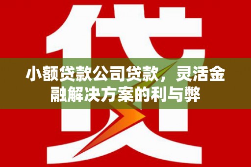 崇安小额贷款公司贷款，灵活金融解决方案的利与弊