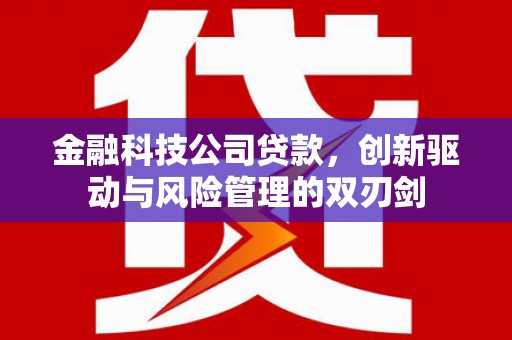 武川金融科技公司贷款，创新驱动与风险管理的双刃剑
